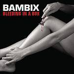 Bambix : Bleeding in a Box